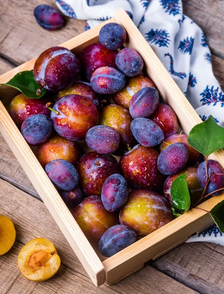 CGU plums, box, apricots, fruits, fruit box, fresh, ripe, harvest, produce, organic, fresh produce, fruit, vitamins, food, food photography, plums, fruits, fruits, fruits, fruit, fruit, fruit, fruit, fruit, food